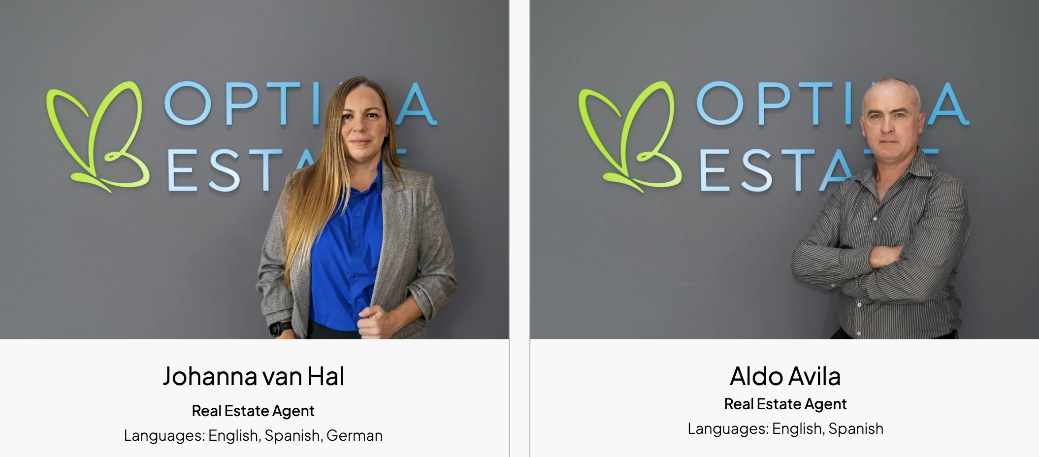 optima estate playa blanca